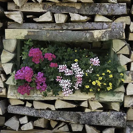 Gasthof Brentwirt * Leogang