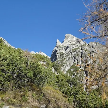 Gasthof Brentwirt B&B *