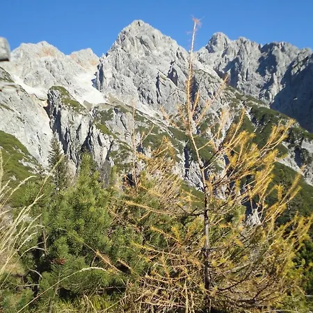 Gasthof Brentwirt * Leogang