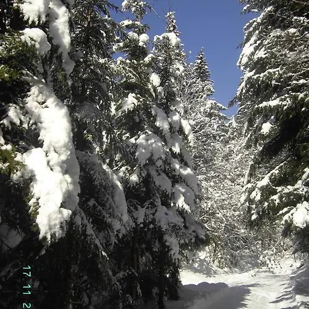 Frühstückspension Gasthof Brentwirt
